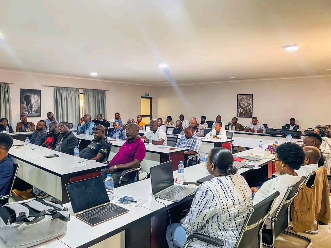 Client Collaboration